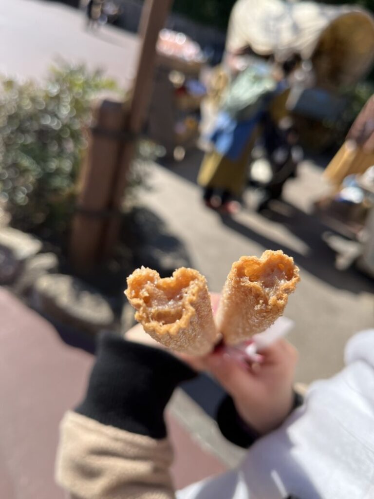 Tokyo Disneyresort food churros