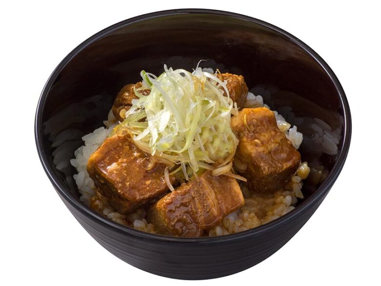 Tokyo Disneyland restaurant China Voyager menu Braised pork rice