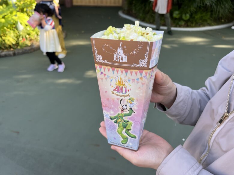 Tokyo Disneyland food Popcorn