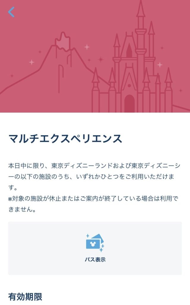 Tokyo Disneyresort multi experience (red)