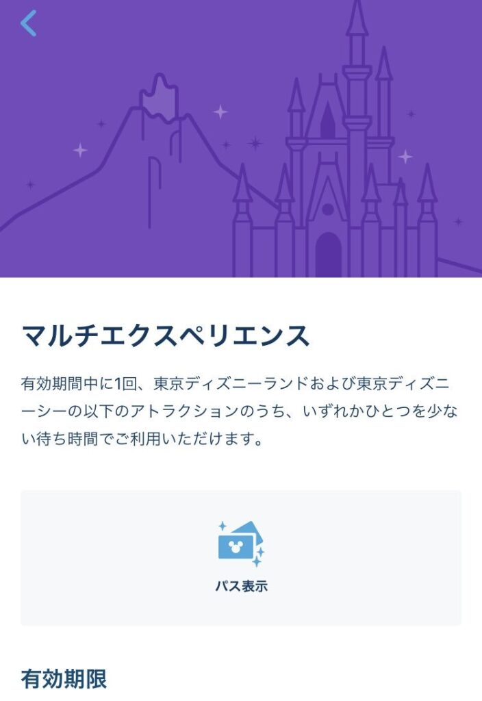 Tokyo Disneyresort multi experience (purple)
