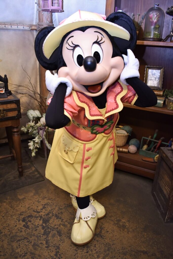 Tokyo Disneysea Mickey & Friends Greeting Trail (Minnie)