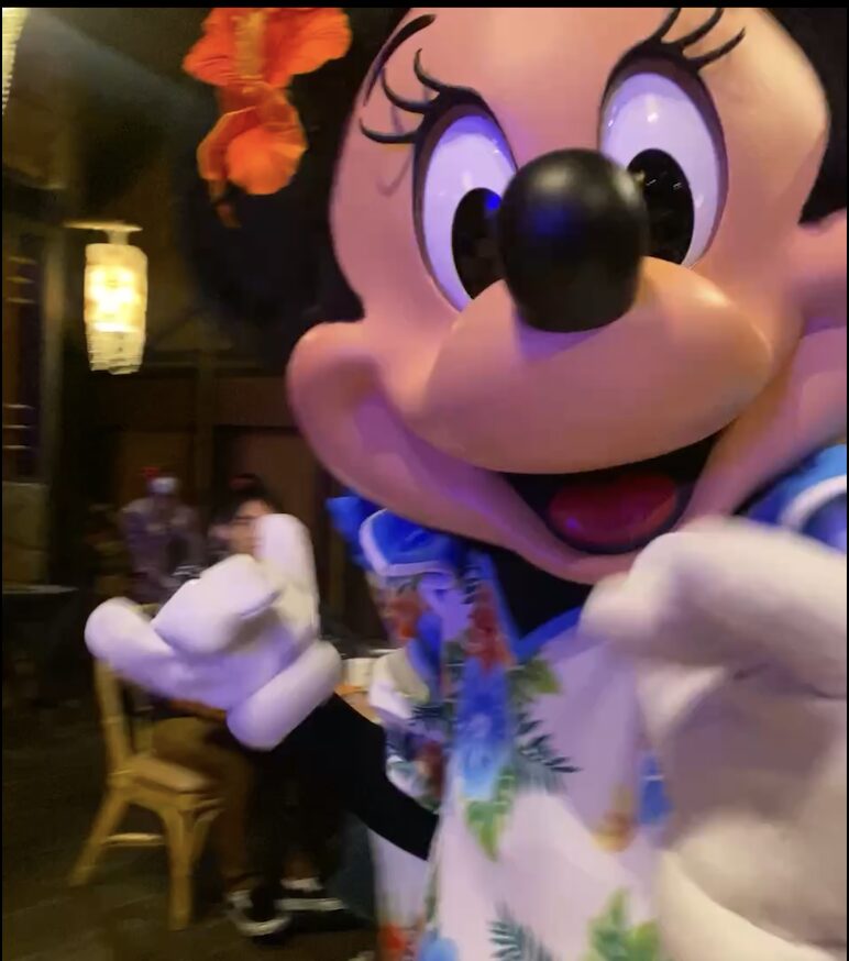 Tokyo Disneyland show Mickey's Rainbow Luau