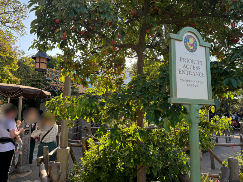 Tokyo Disneyland attraction Pooh's Honey Hunt priority access entrance