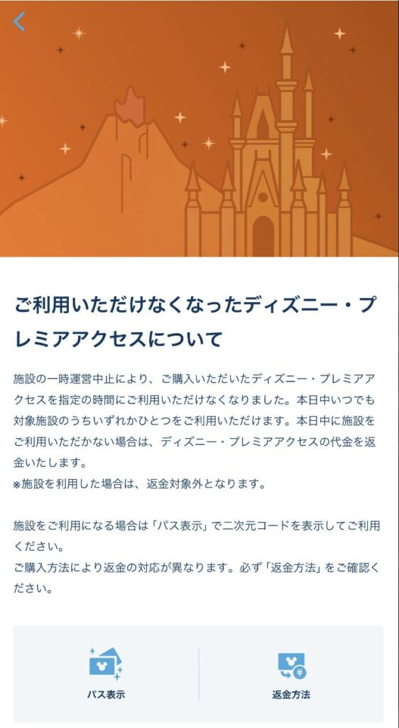 Tokyo Disneyresort multi experience (orange)