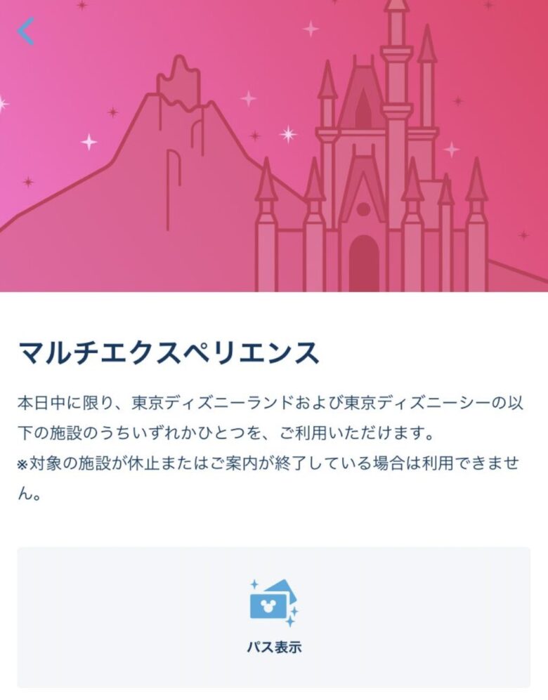 Tokyo Disneyresort multi experience (pink)