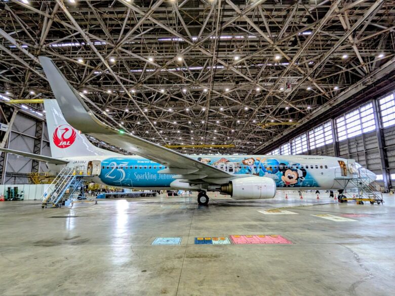 JAL Jubilee Express 機体左側面（ジュビリーブルー塗装）