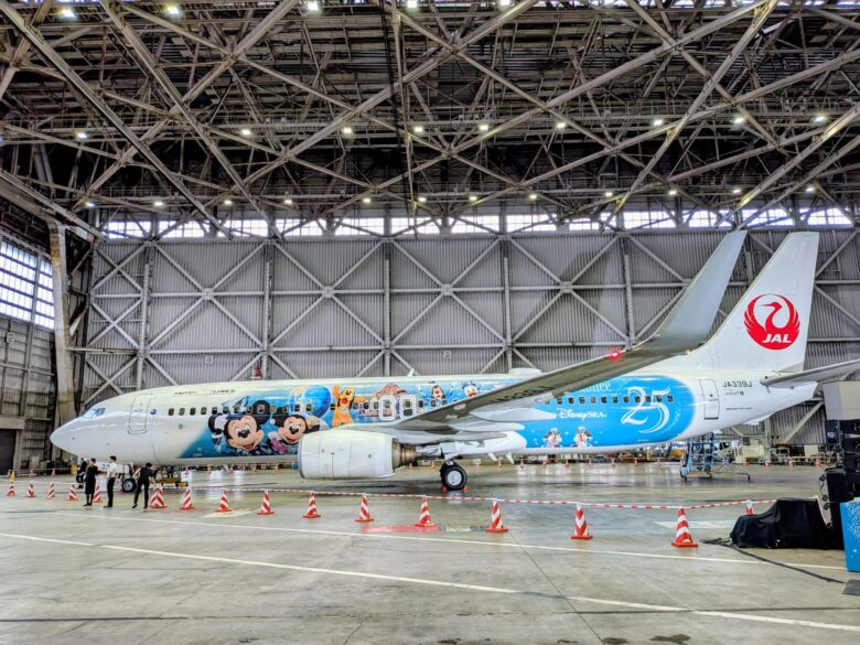 JAL Jubilee Express 機体右側面（ダッフィー・シェリーメイ側）
